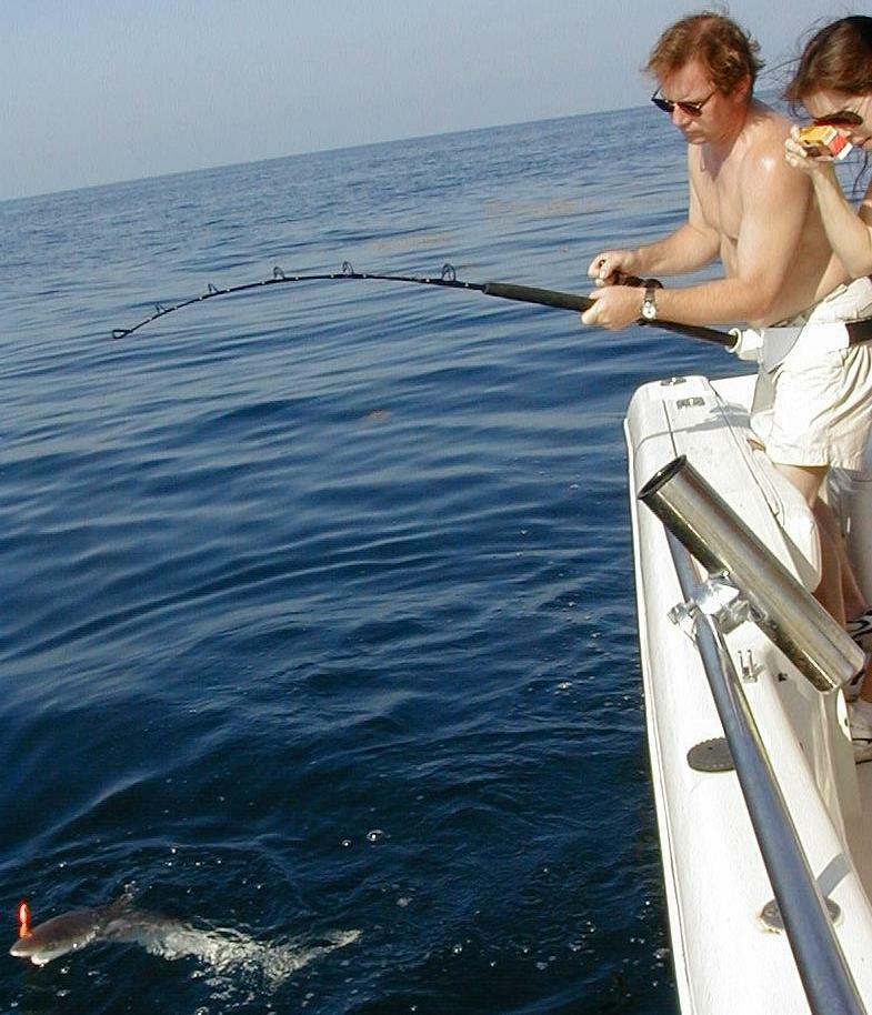 05_Kirk_shark