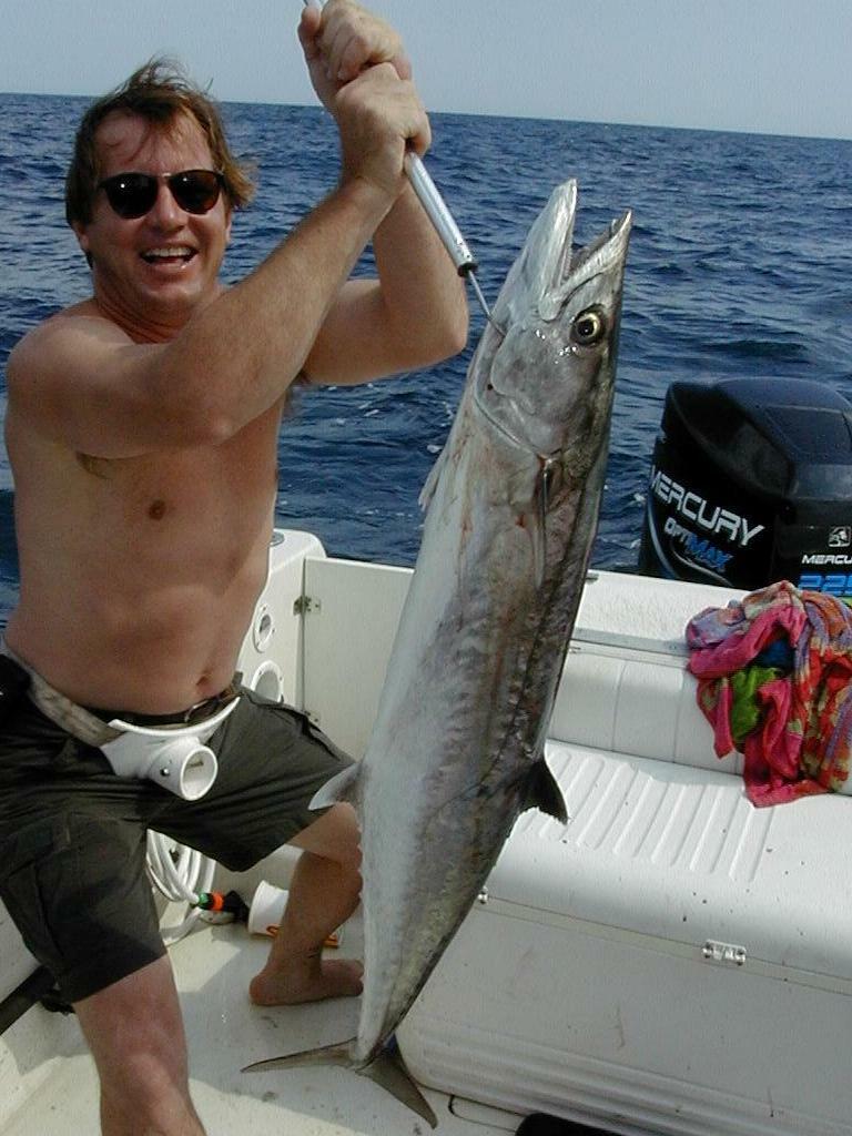 64_Kirk_king