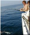 05_Kirk_shark