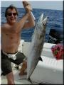 64_Kirk_king