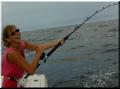 66_Kyle_hookup