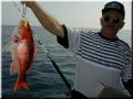 99_Gary_Snapper