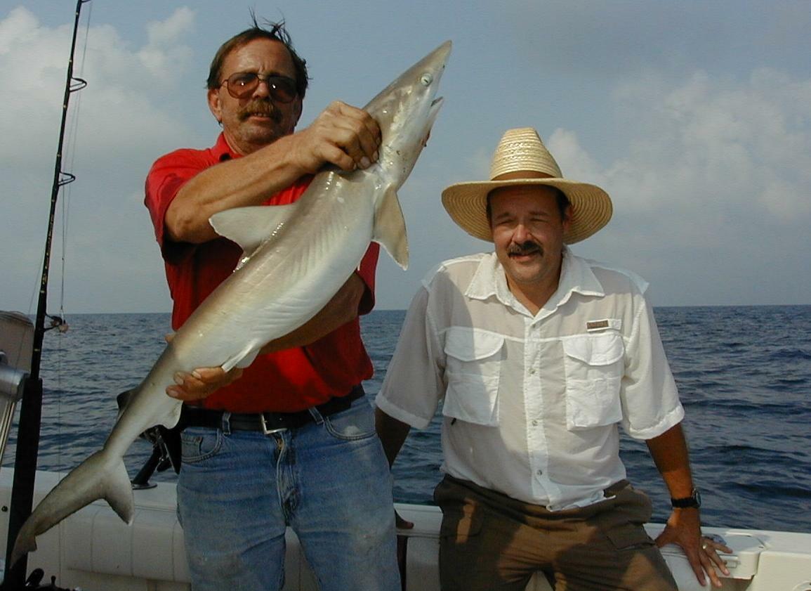 06_Larry_Shark