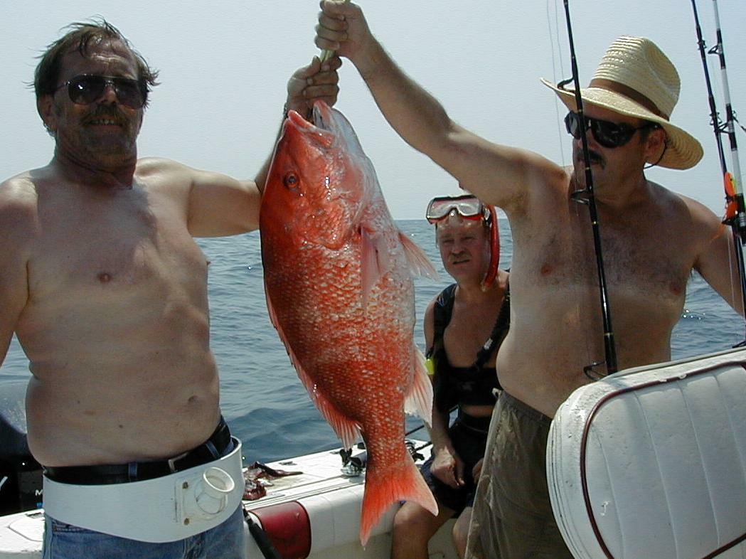 33_Crew_Snapper
