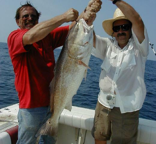 42_Larry_Robert_BullRed_640
