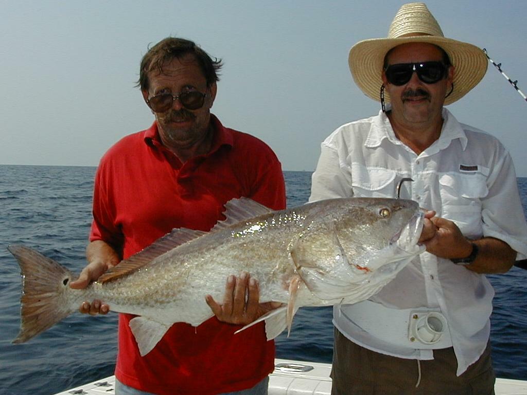 43_Larry_Robert_BullRed
