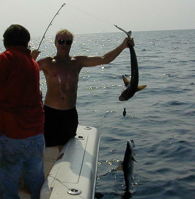 47_Shark_Double