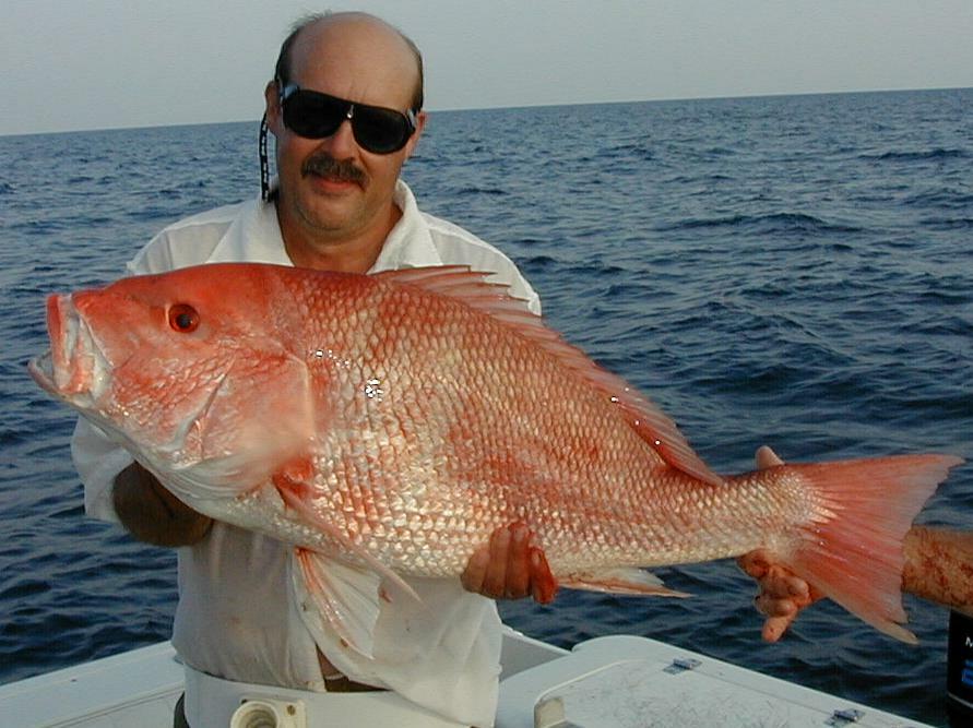 62_Robert_Snapper