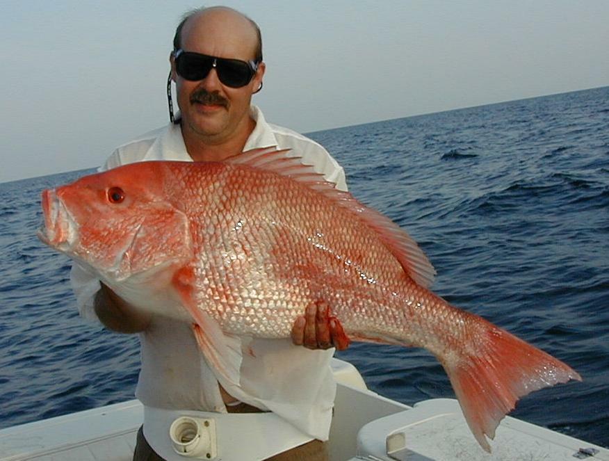 63_Robert_Snapper