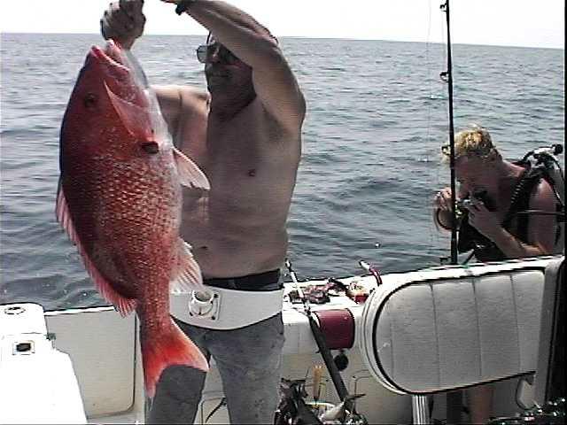 Larry_snapper