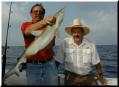 06_Larry_Shark