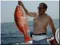 31_Larry_Sow_Snapper