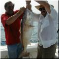40_Larry_Robert_BullRed