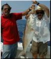 41_Larry_Robert_BullRed
