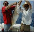 42_Larry_Robert_BullRed_640