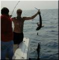 47_Shark_Double