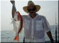 49_Robert_Snapper