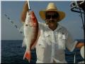 50_Robert_Snapper