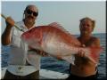 58_Robert_Mike_Sow_Snapper