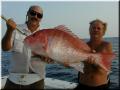 58_Robert_Mike_Sow_Snapper_640