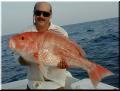 63_Robert_Snapper