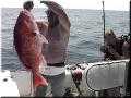 Larry_snapper