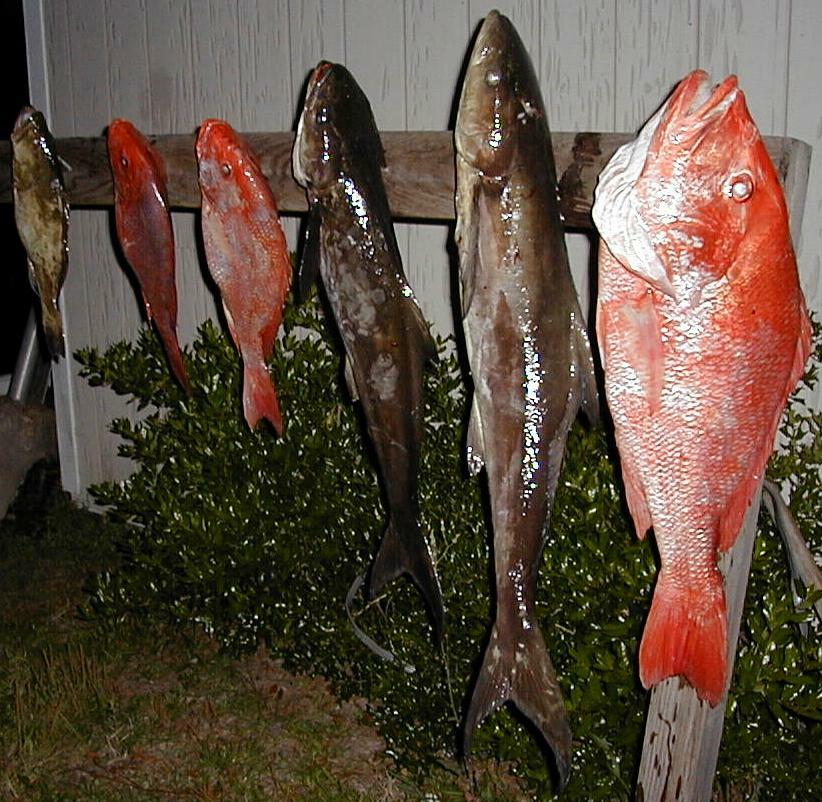 112_biggest_catch