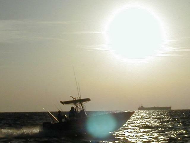 13_seaduction