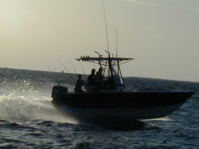 16_seaduction
