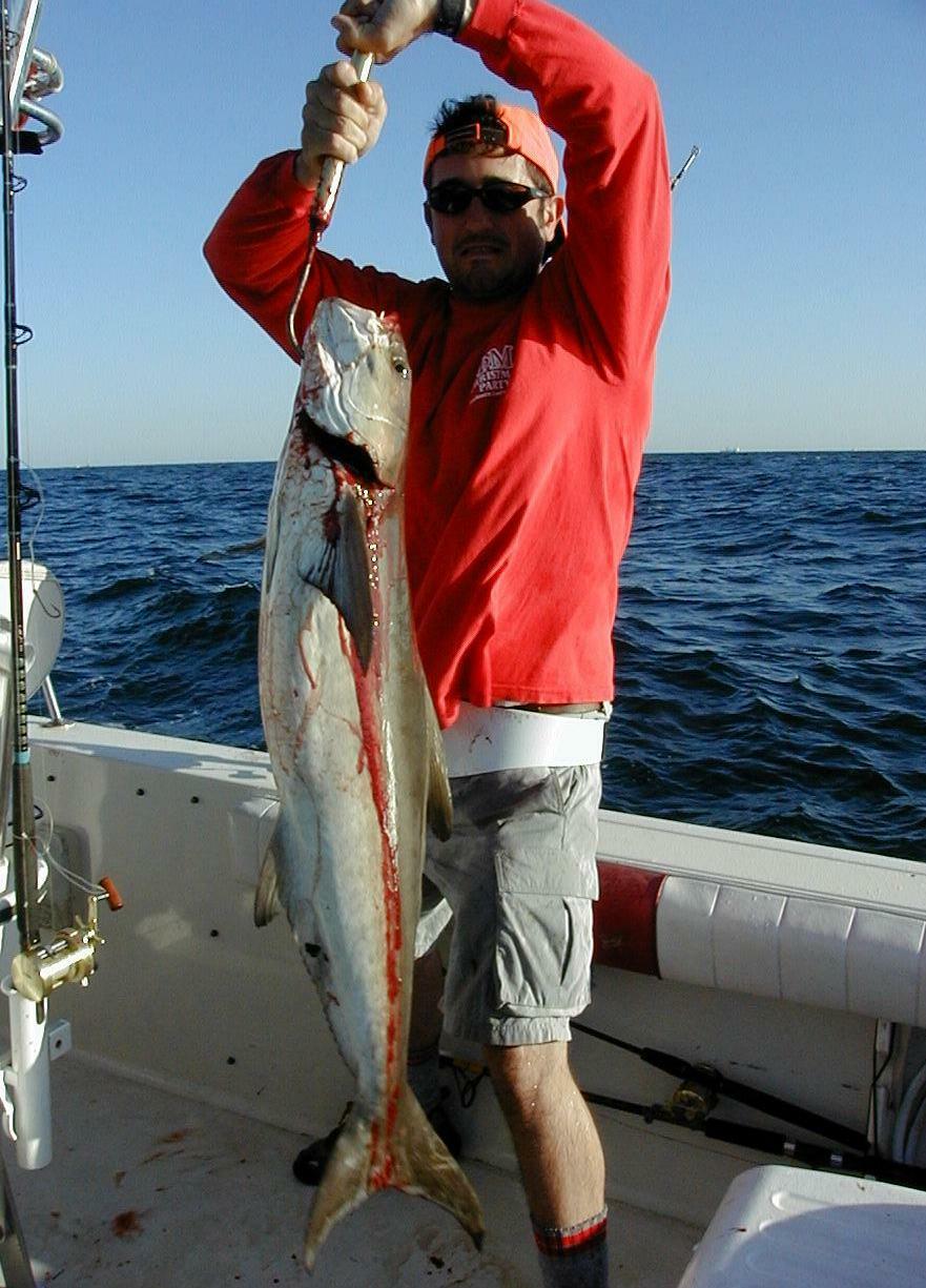 23_joey_cobia