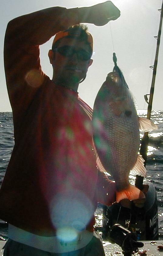 24_joey_snapper