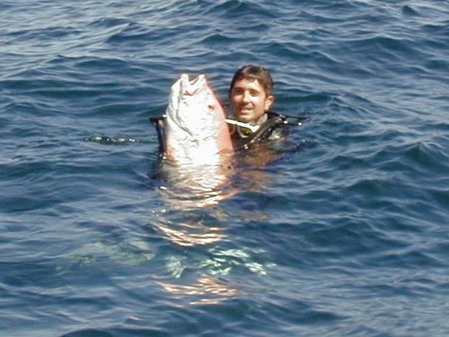 55_joey_big_snapper