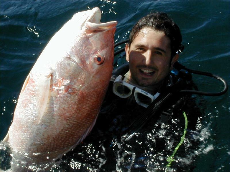 57_joey_snapper_med