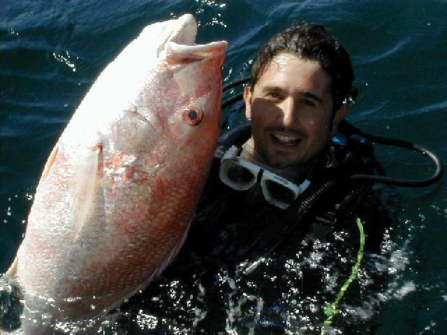 57_joey_snapper_sm