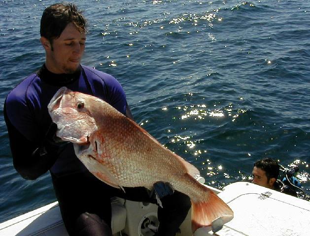 58_mike_joey_snapper