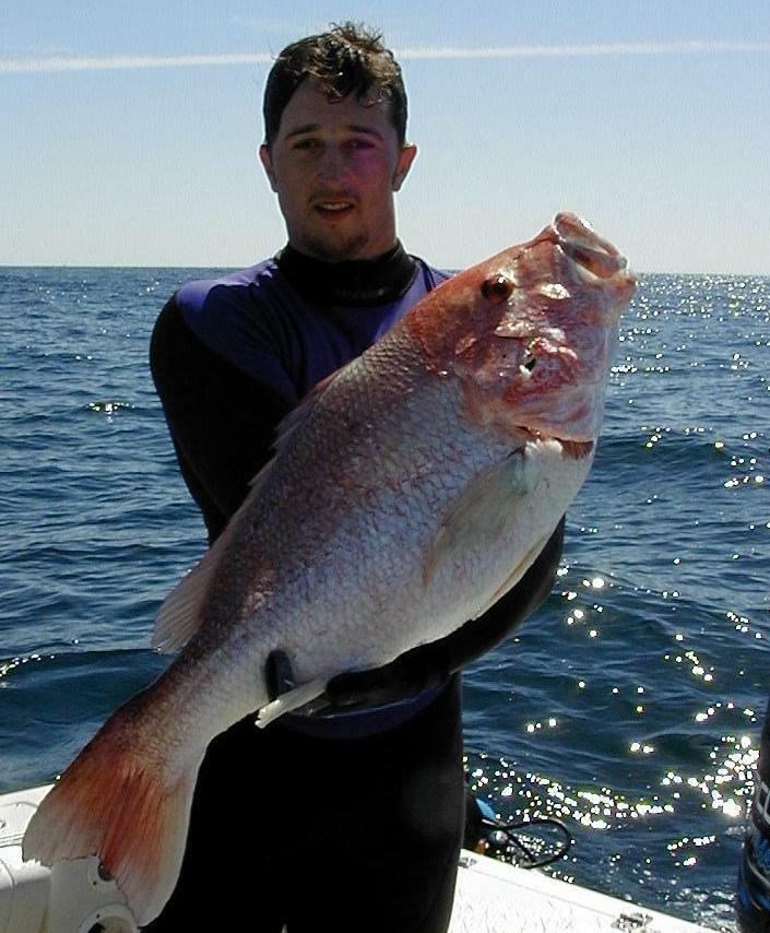 59_michael_snapper