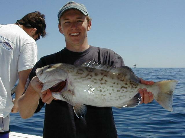80_mark_grouper