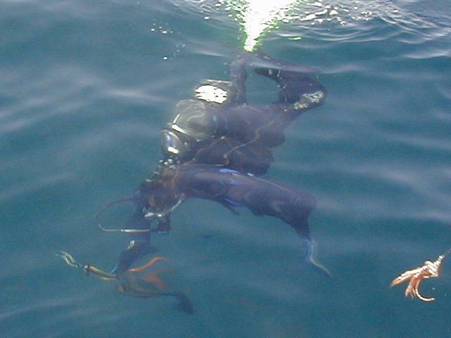 83_diving
