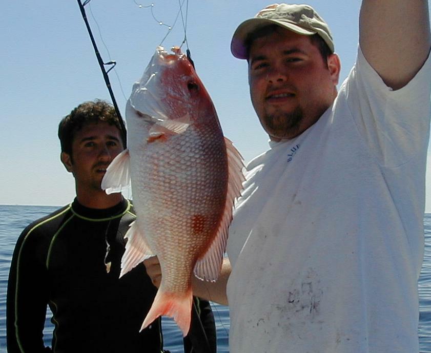 86_scotty_snapper