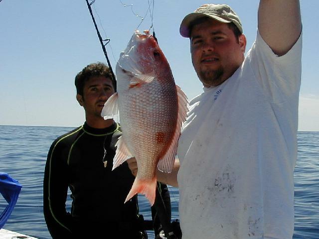 86_scotty_snapper_sm