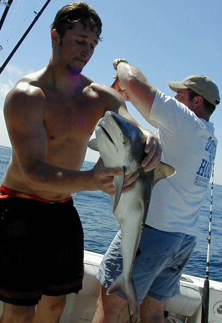 91_michael_shark
