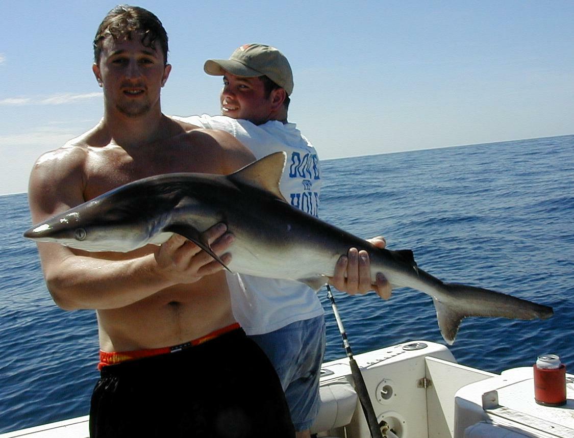 92_michael_scotty_shark