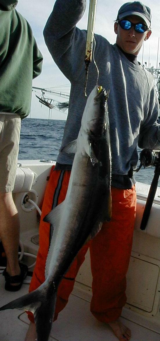 99_mark_cobia