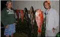 113_scotty_joey_catch