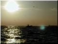 11_seaduction