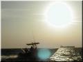 13_seaduction