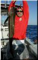 22_joey_cobia