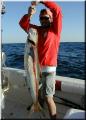 23_joey_cobia