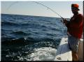32_joey_hookup