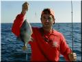 34_joey_trigger